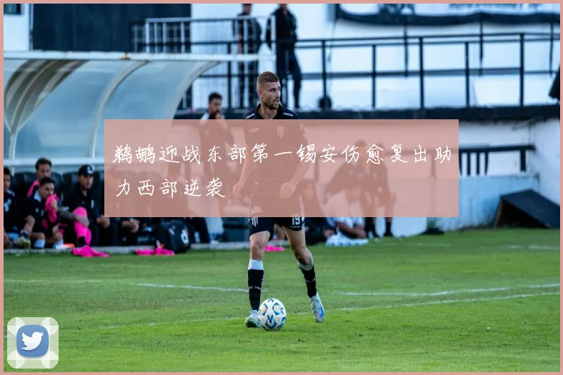 鹈鹕迎战东部第一锡安伤愈复出助力西部逆袭